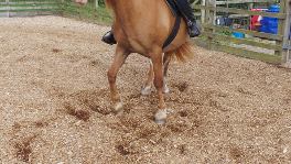 Communicating To FrontLeg 2