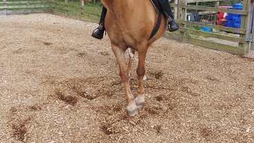 communicating To Foot