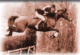Competition, something the horse likes?