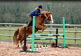 Sue With Showjump