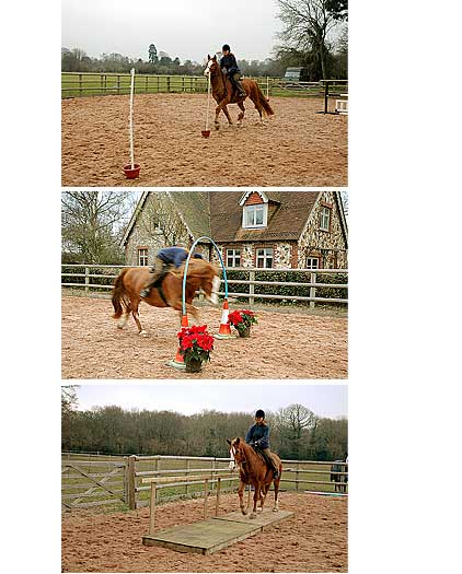 Some Le Trec pics