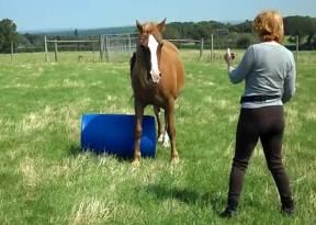 Morgan Over A Barrel