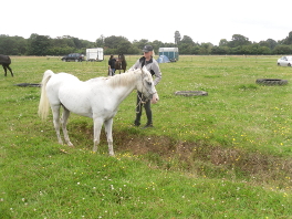 Debs And Charlie