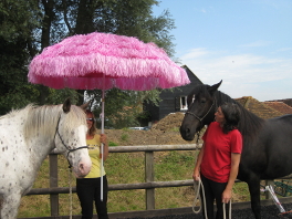 Rebecca And Roni Pink Umbrella