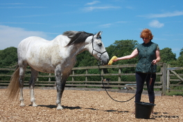 Spud Being Offered Sponge