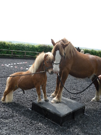 Little And Large