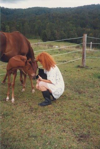 Sue  Foal