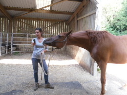PegasusPicsJuly2013-011