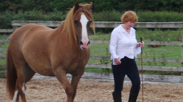 Morgan And Sue Finishing A Liberty session