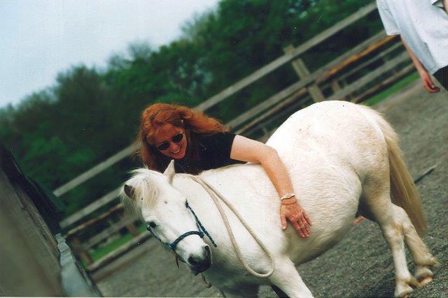 grey pony